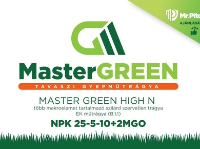 MASTER GREEN HIGH N   25kg
